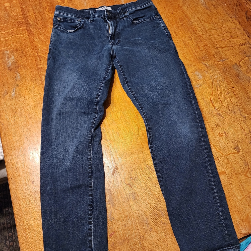Madewell Indigo Denim Pants